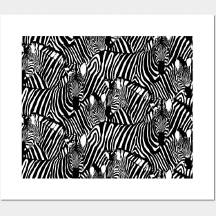 Black and White Zebra Posters and Art